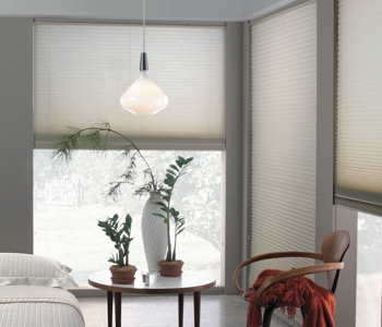 roller shades in Bakersfield home
